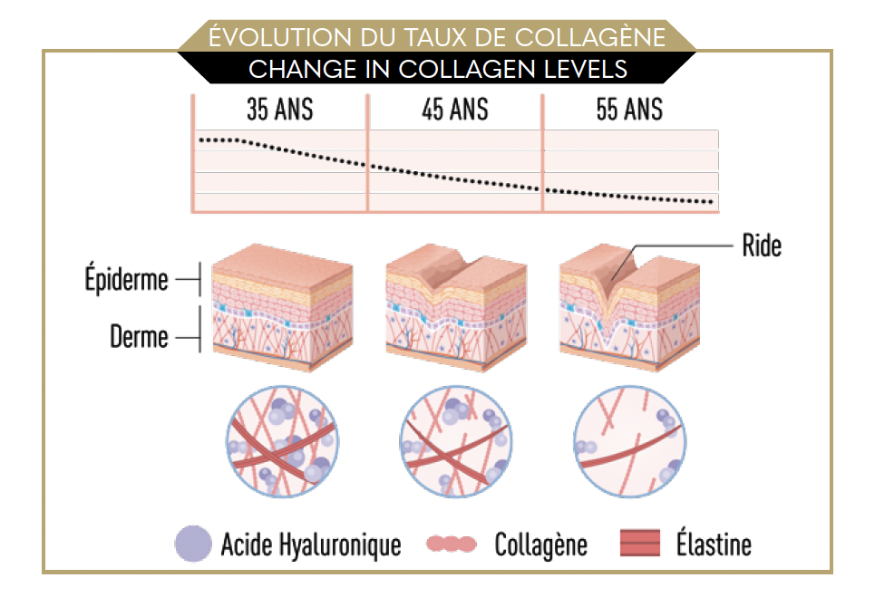 collagene